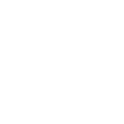 Woodys Woodys