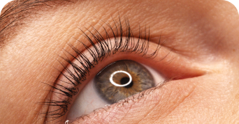 Centro Optica Cartagena Optica Cartagena Queratoconos